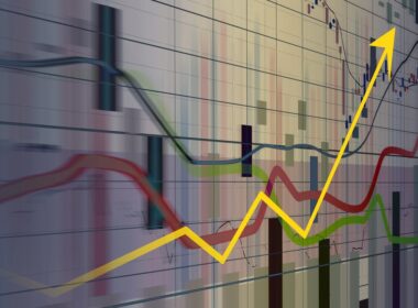 descubra o segredo por tras do recorde historico de exportacoes