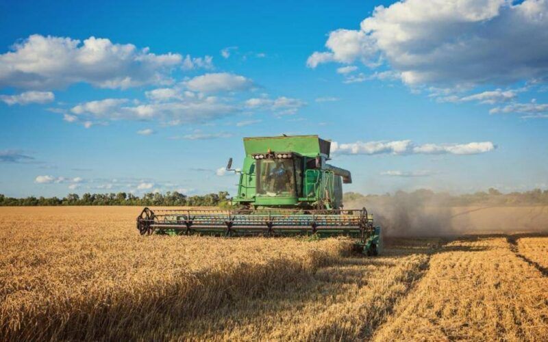 descubra o sucesso agronegocio brasileiro cresce quase 6 em 2024
