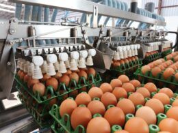 descubra oportunidades exportacao de produtos agricolas brasileiros para o mercado