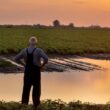 descubra os descontos imperdiveis em financiamentos para produtores rurais gauchos