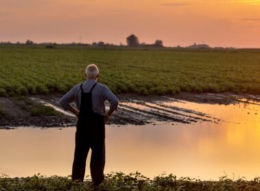 descubra os descontos imperdiveis em financiamentos para produtores rurais gauchos