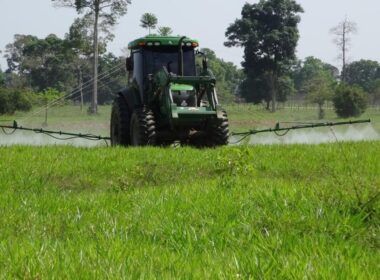 “Seu pasto é lavoura”: 9 questões que você precisa saber para não errar no manejo