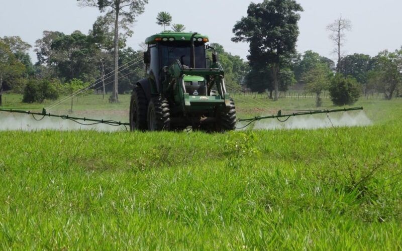 “Seu pasto é lavoura”: 9 questões que você precisa saber para não errar no manejo