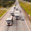 80% dos motoristas profissionais ainda não fizeram exame toxicológico uma semana após o prazo