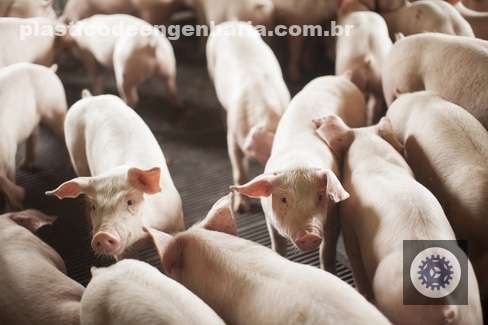 descubra por que as filipinas lideram as importacoes de carne