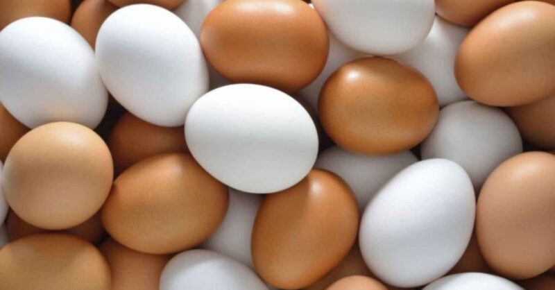 descubra por que o crescimento moderado na oferta de ovos