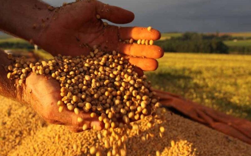 descubra por que o preco da soja caiu em paranagua