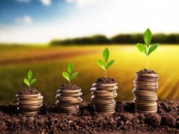 Desembolso rural do Plano Safra 2025/2026 no 1º bimestre mostra ritmo de liberação e oportunidades por linha de crédito 9 Desembolso rural do Plano Safra 2025/2026 no 1º bimestre mostra ritmo de liberação e oportunidades por linha de crédito