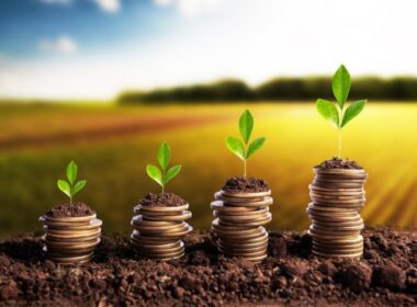 Desembolso rural do Plano Safra 2025/2026 no 1º bimestre mostra ritmo de liberação e oportunidades por linha de crédito