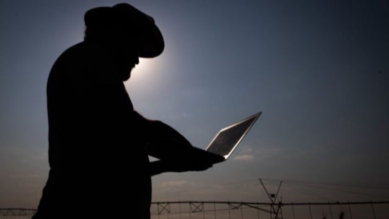 Desenrola Rural: decreto facilita a renegociação de dívidas da agricultura familiar