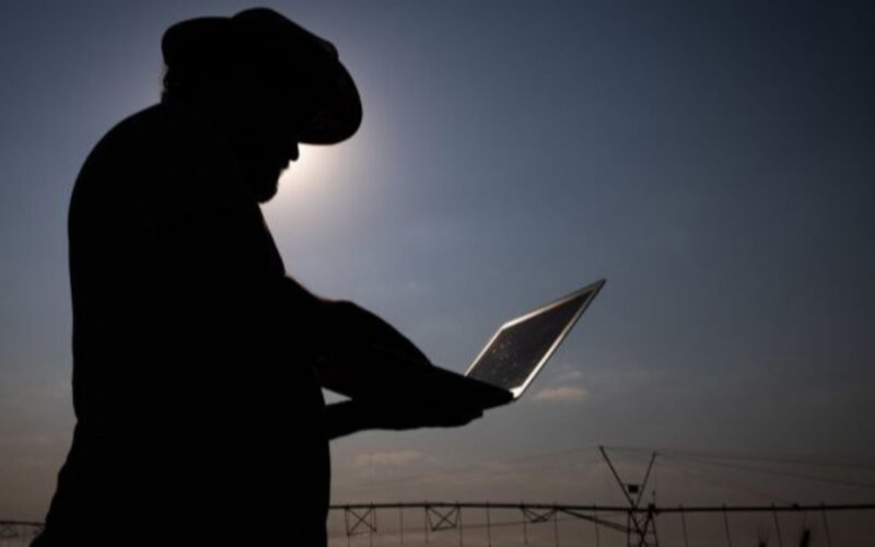 Desenrola Rural: decreto facilita a renegociação de dívidas da agricultura familiar