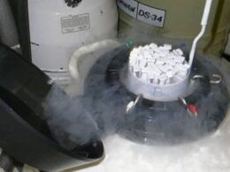Ressincronização e repasse: saiba a diferença entre os dois