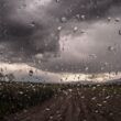 Intervalos de chuva ampliam desafios para pecuaristas no centro-norte do Brasil