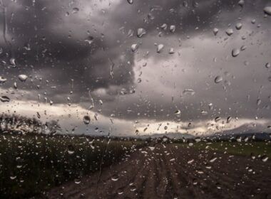 Intervalos de chuva ampliam desafios para pecuaristas no centro-norte do Brasil