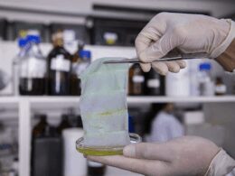 embalagem inteligente altera cor e avisa quando peixe esta estragado