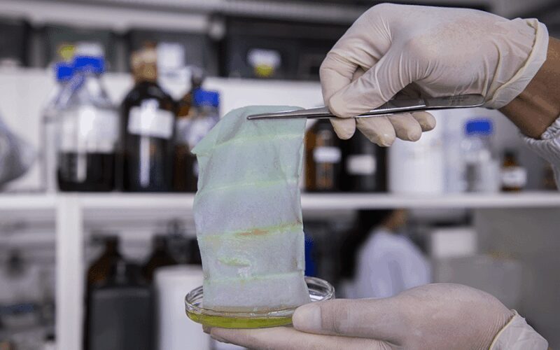 embalagem inteligente altera cor e avisa quando peixe esta estragado