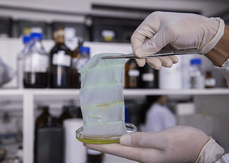 embalagem inteligente altera cor e avisa quando peixe esta estragado