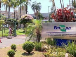 embrapa amplia orcamento de custeio para r 364 milhoes e