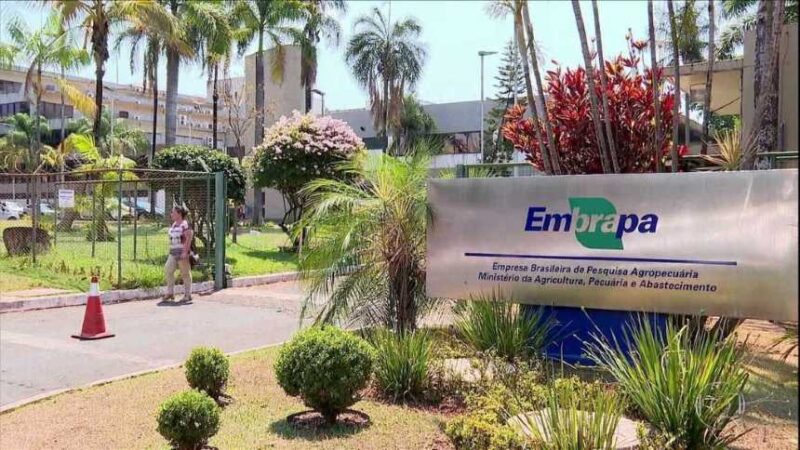 embrapa amplia orcamento de custeio para r 364 milhoes e