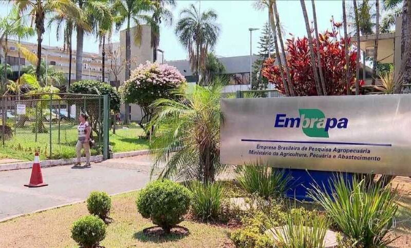 embrapa amplia orcamento de custeio para r 364 milhoes e