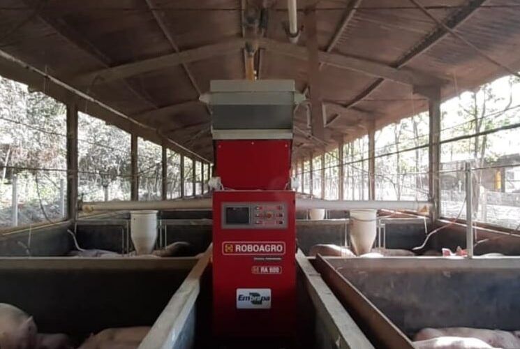 embrapa demonstra que o uso de sistema de alimentacao controlada