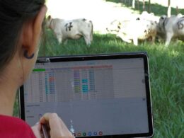 Embrapa gera R$ 25,37 para cada real investido, impulsionando o desenvolvimento sustentável do país 12 Embrapa gera R$ 25,37 para cada real investido, impulsionando o desenvolvimento sustentável do país