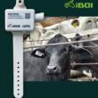empresa de telecomunicacoes lanca iboi tecnologia de geolocalizacao para gado