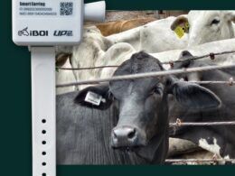 empresa de telecomunicacoes lanca iboi tecnologia de geolocalizacao para gado