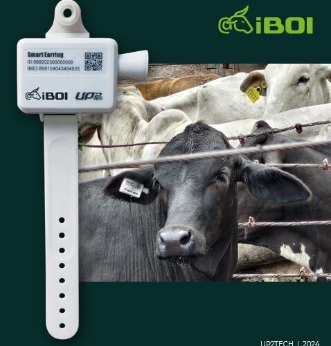 empresa de telecomunicacoes lanca iboi tecnologia de geolocalizacao para gado