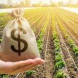 Empresas em recuperação judicial em 2025: estratégias eficazes para reverter crises e garantir a sustentabilidade.