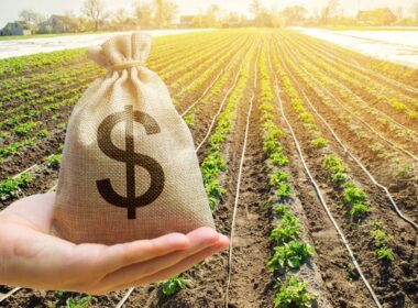 Empresas em recuperação judicial em 2025: estratégias eficazes para reverter crises e garantir a sustentabilidade.