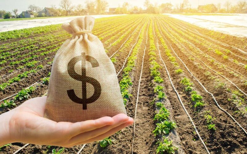 Empresas em recuperação judicial em 2025: estratégias eficazes para reverter crises e garantir a sustentabilidade.