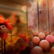 enzimas na nutricao animal a ciencia por tras da digestao