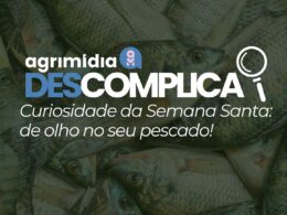 escolha o melhor pescado nesta semana santa com dicas praticas