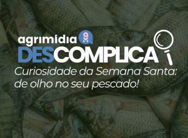 escolha o melhor pescado nesta semana santa com dicas praticas