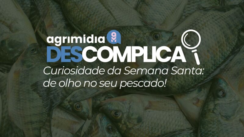 escolha o melhor pescado nesta semana santa com dicas praticas