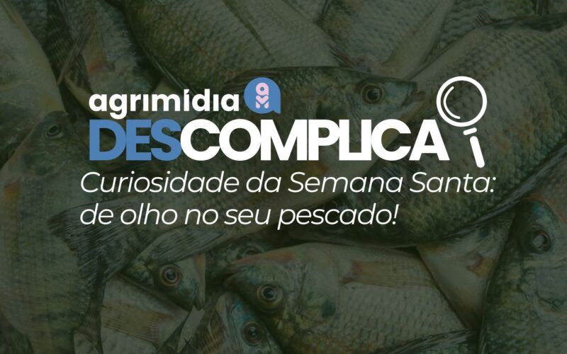 escolha o melhor pescado nesta semana santa com dicas praticas