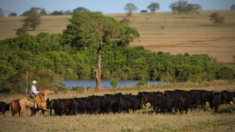 Escritórios Verdes garantem regularização de 15 mil fazendas, promovendo sustentabilidade e valorização imobiliária no Brasil