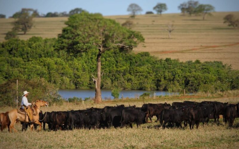 Escritórios Verdes garantem regularização de 15 mil fazendas, promovendo sustentabilidade e valorização imobiliária no Brasil