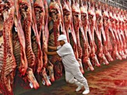 especialistas atualizam previsoes de exportacao internacional de carne bovina ate