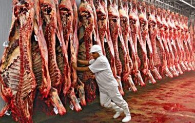 especialistas atualizam previsoes de exportacao internacional de carne bovina ate
