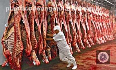 especialistas atualizam previsoes de exportacao internacional de carne bovina ate