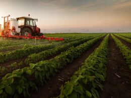 esseagroenosso o setor agropecuario uma forca impulsionadora de todos os