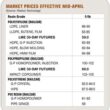 estrategias de compra de resina para aproveitar precos em queda.jpgmaxwidth1200