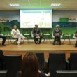 estrategias futuras do sistema plantio direto no brasil como o