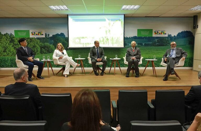 estrategias futuras do sistema plantio direto no brasil como o