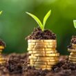 Estratégias para garantir crédito e preservar margem diante da queda de 25% nos desembolsos do Plano Safra 2025/26