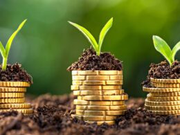 Estratégias para garantir crédito e preservar margem diante da queda de 25% nos desembolsos do Plano Safra 2025/26 17 Estratégias para garantir crédito e preservar margem diante da queda de 25% nos desembolsos do Plano Safra 2025/26