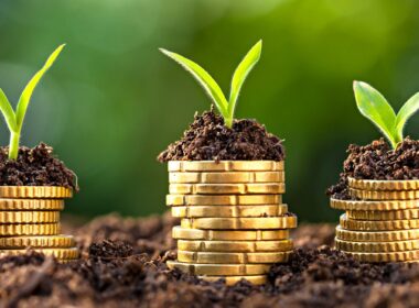 Estratégias para garantir crédito e preservar margem diante da queda de 25% nos desembolsos do Plano Safra 2025/26