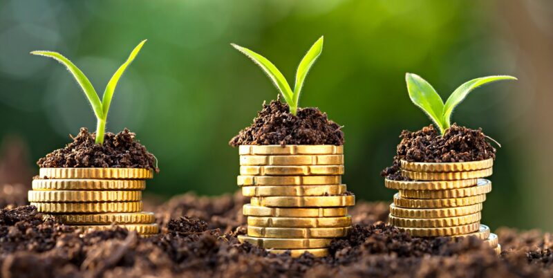 Estratégias para garantir crédito e preservar margem diante da queda de 25% nos desembolsos do Plano Safra 2025/26